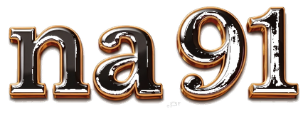 na 91 logo